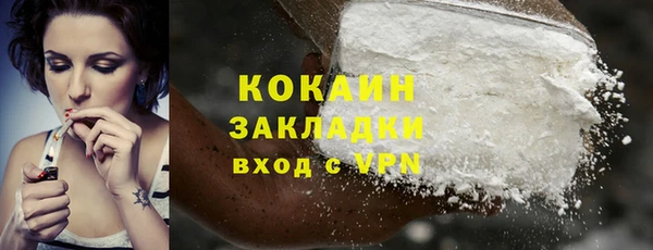 винт Абаза