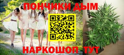 не бодяженный Гай