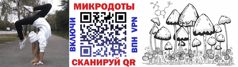 где продают   Рославль  Псилоцибиновые грибы Cubensis 