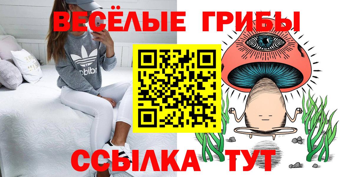 Рославль  Галлюциногенные грибы Cubensis  Вход с VPN 